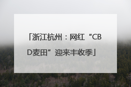 浙江杭州：网红“CBD麦田”迎来丰收季