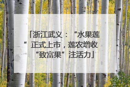 浙江武义：“水果莲”正式上市，莲农增收“致富果”注活力