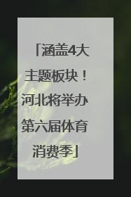 涵盖4大主题板块！河北将举办第六届体育消费季