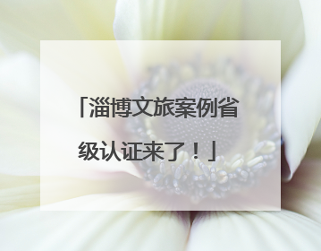 淄博文旅案例省级认证来了！