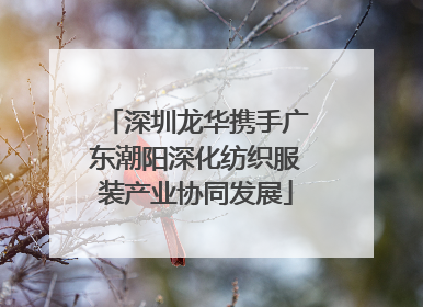 深圳龙华携手广东潮阳深化纺织服装产业协同发展