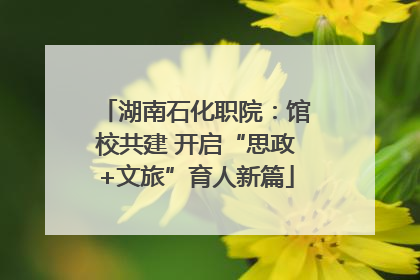 湖南石化职院：馆校共建 开启“思政+文旅”育人新篇