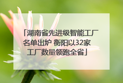 湖南省先进级智能工厂名单出炉 衡阳以32家工厂数量领跑全省
