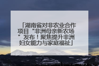 湖南省对非农业合作项目“非洲母亲新农场”发布！聚焦提升非洲妇女能力与家庭福祉