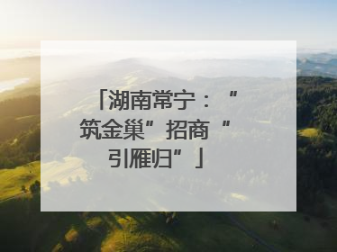 湖南常宁：“筑金巢”招商“引雁归”