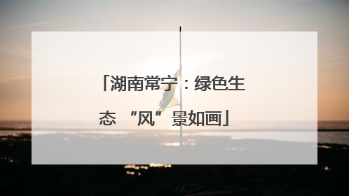 湖南常宁：绿色生态 “风”景如画