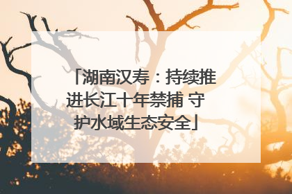 湖南汉寿：持续推进长江十年禁捕 守护水域生态安全