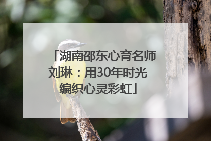 湖南邵东心育名师刘琳：用30年时光编织心灵彩虹