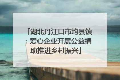 湖北丹江口市均县镇：爱心企业开展公益捐助推进乡村振兴