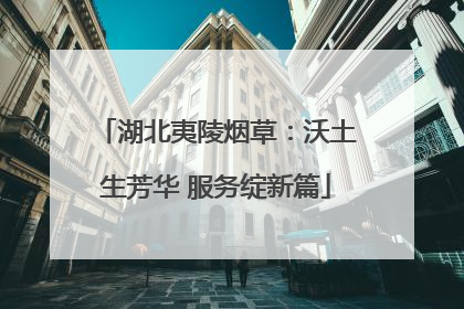 湖北夷陵烟草：沃土生芳华 服务绽新篇