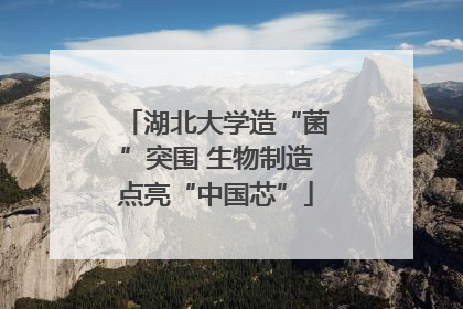 湖北大学造“菌”突围 生物制造点亮“中国芯”