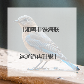 湘粤非铁海联运通道再升级