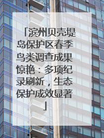 滨州贝壳堤岛保护区春季鸟类调查成果惊艳：多项纪录刷新，生态保护成效显著