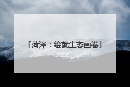 菏泽：绘就生态画卷