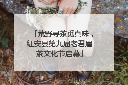 荒野寻茶觅真味，红安县第九届老君眉茶文化节启幕