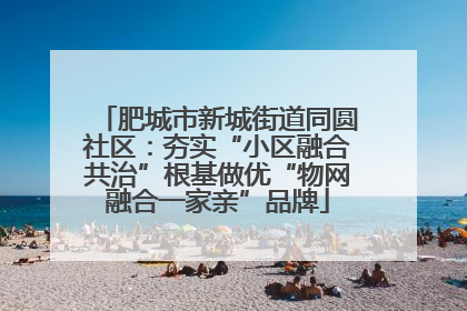 肥城市新城街道同圆社区：夯实“小区融合共治”根基做优“物网融合一家亲”品牌