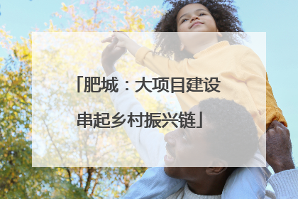 肥城：大项目建设串起乡村振兴链