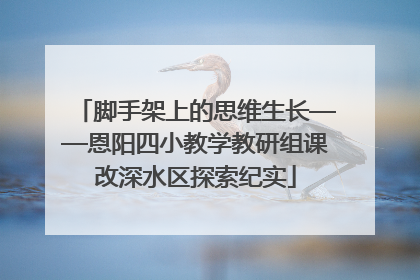 脚手架上的思维生长——恩阳四小教学教研组课改深水区探索纪实