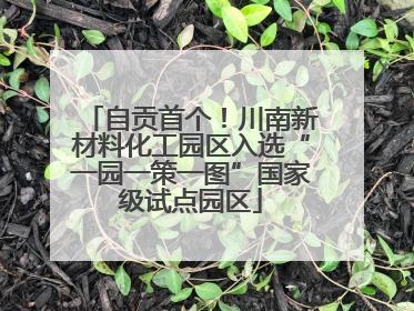 自贡首个！川南新材料化工园区入选“一园一策一图”国家级试点园区