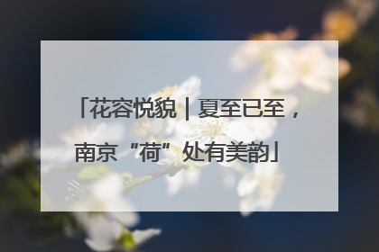 花容悦貌｜夏至已至，南京“荷”处有美韵