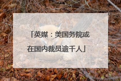 英媒：美国务院或在国内裁员逾千人