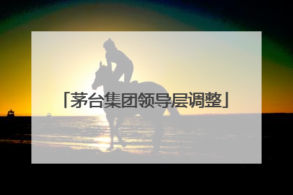 茅台集团领导层调整