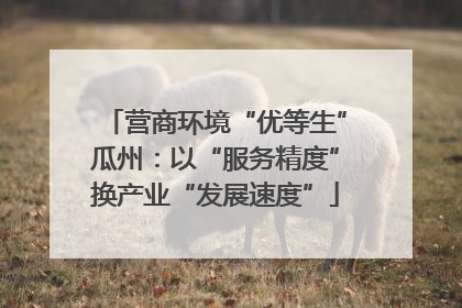 营商环境“优等生”瓜州：以“服务精度”换产业“发展速度”