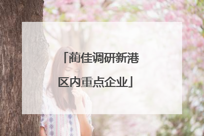 蔺佳调研新港区内重点企业