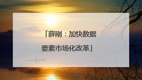 薛刚：加快数据要素市场化改革