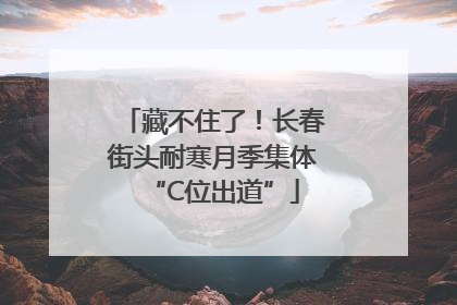 藏不住了！长春街头耐寒月季集体“C位出道”