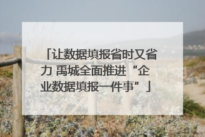 让数据填报省时又省力 禹城全面推进“企业数据填报一件事”