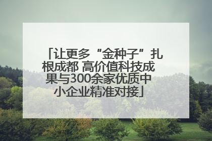 让更多“金种子”扎根成都 高价值科技成果与300余家优质中小企业精准对接