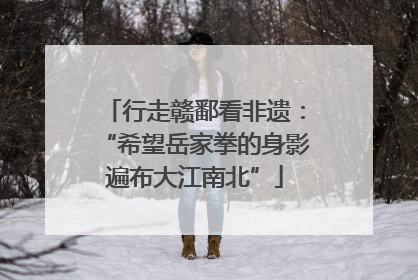 行走赣鄱看非遗：“希望岳家拳的身影遍布大江南北”