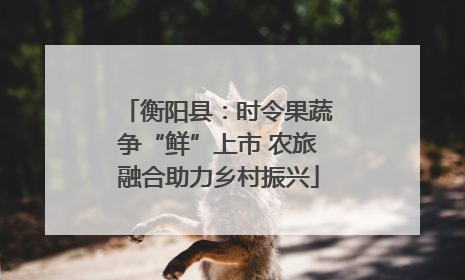 衡阳县：时令果蔬争“鲜”上市 农旅融合助力乡村振兴