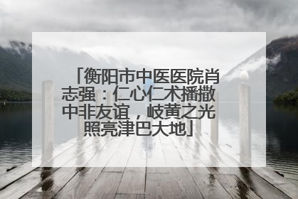 衡阳市中医医院肖志强：仁心仁术播撒中非友谊，岐黄之光照亮津巴大地