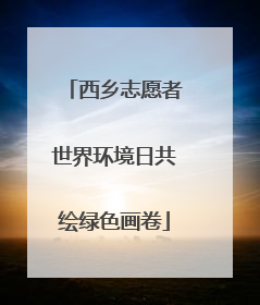 西乡志愿者世界环境日共绘绿色画卷