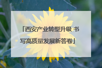 西安产业转型升级 书写高质量发展新答卷