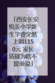 西安长安悦美小学新生学费突然上调1150元 家长质疑为啥不提前说