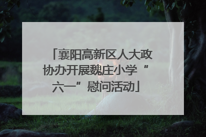 襄阳高新区人大政协办开展魏庄小学“六一”慰问活动