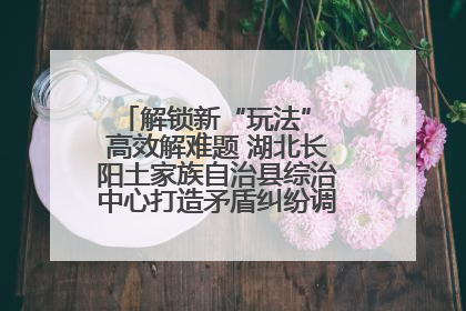 解锁新“玩法” 高效解难题 湖北长阳土家族自治县综治中心打造矛盾纠纷调处“终点站”