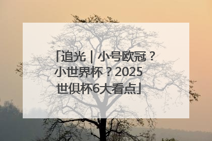 追光｜小号欧冠？小世界杯？2025世俱杯6大看点