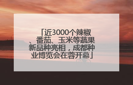 近3000个辣椒、番茄、玉米等蔬果新品种亮相，成都种业博览会在蓉开幕