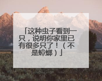 这种虫子看到一只，说明你家里已有很多只了！（不是蟑螂）