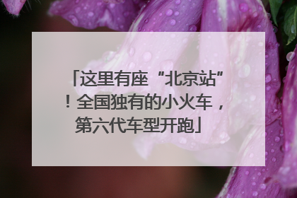 这里有座“北京站”！全国独有的小火车，第六代车型开跑