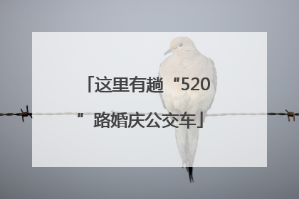 这里有趟“520”路婚庆公交车