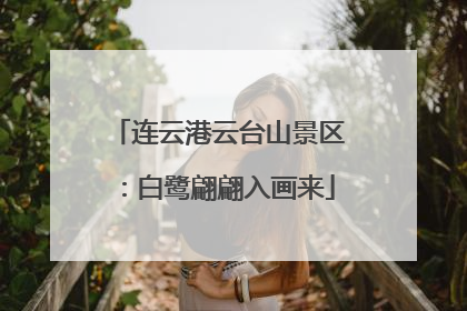 连云港云台山景区：白鹭翩翩入画来