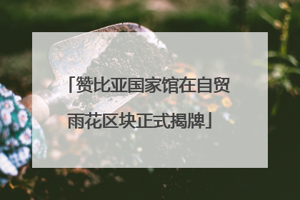 赞比亚国家馆在自贸雨花区块正式揭牌