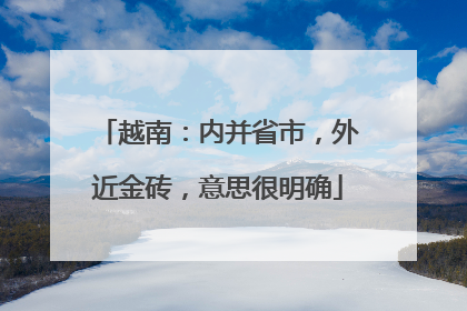越南：内并省市，外近金砖，意思很明确