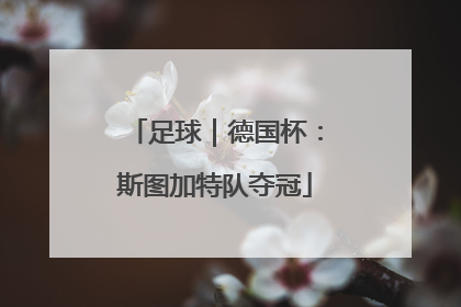 足球｜德国杯：斯图加特队夺冠