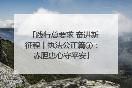 践行总要求 奋进新征程丨执法公正篇③：赤胆忠心守平安
